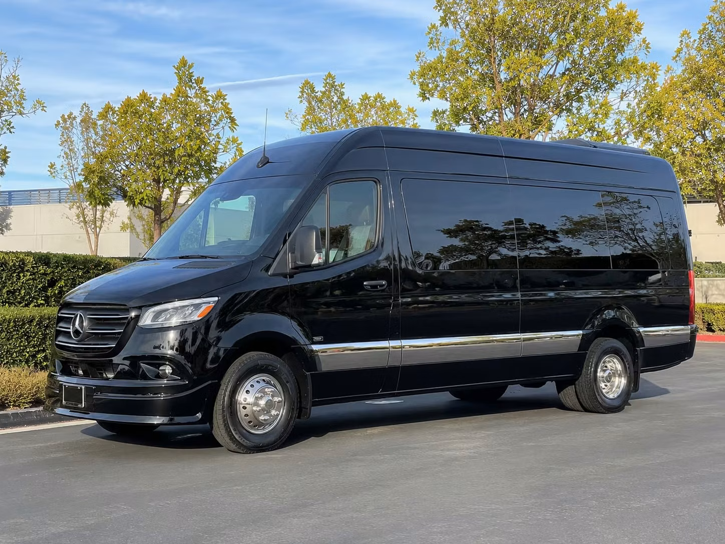 sprinter van with driver